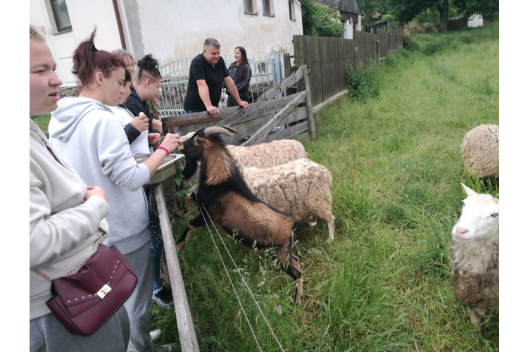 FARMA A ČALOUNICTVÍ TASOV