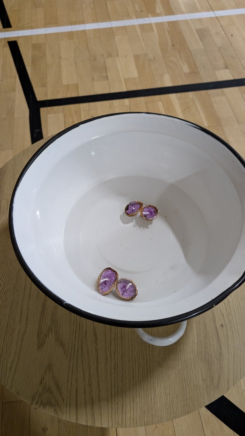 PXL-20251217-155050828.MP