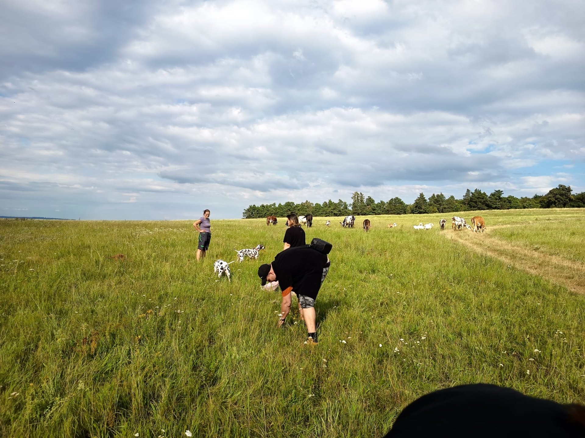 IMG-20250906-WA0056