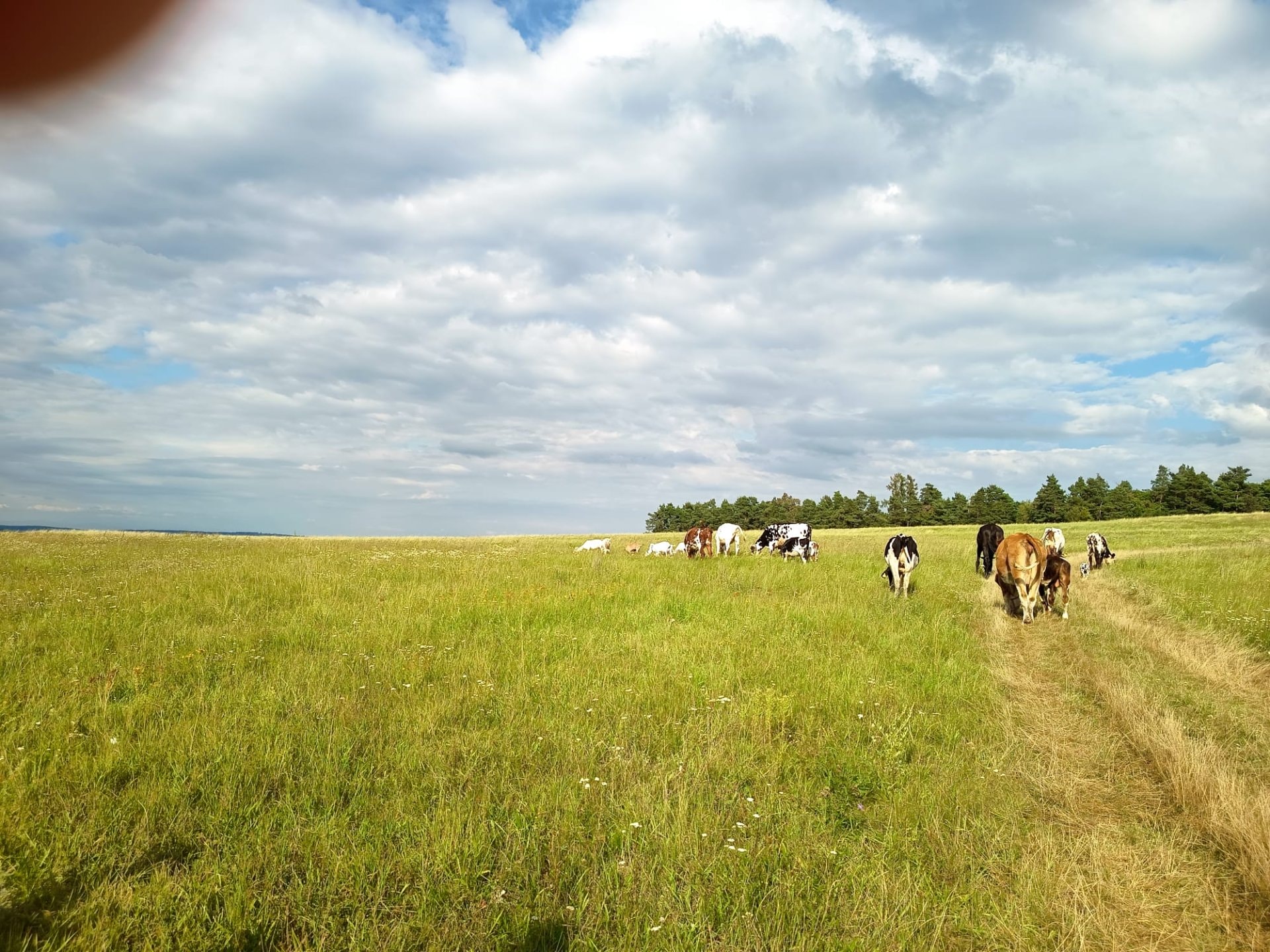 IMG-20250906-WA0059