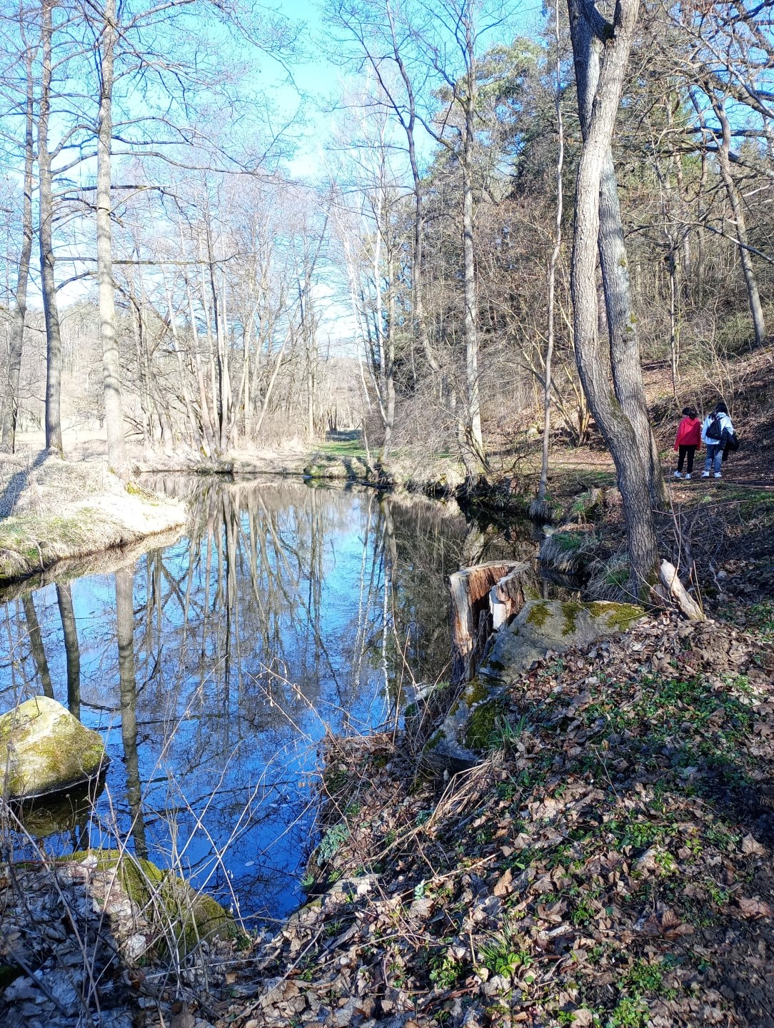 IMG-20250403-094008