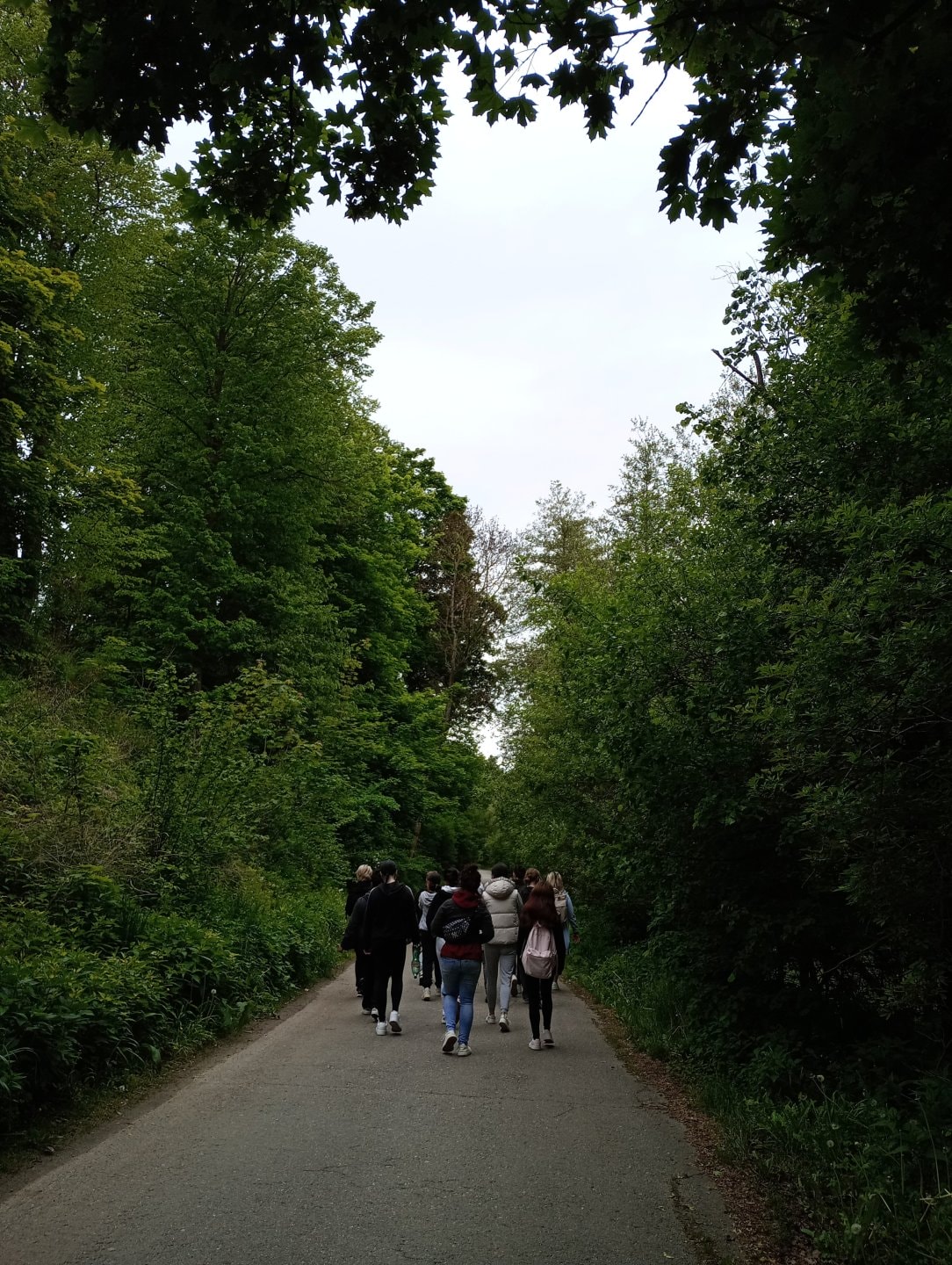IMG-20250528-085105