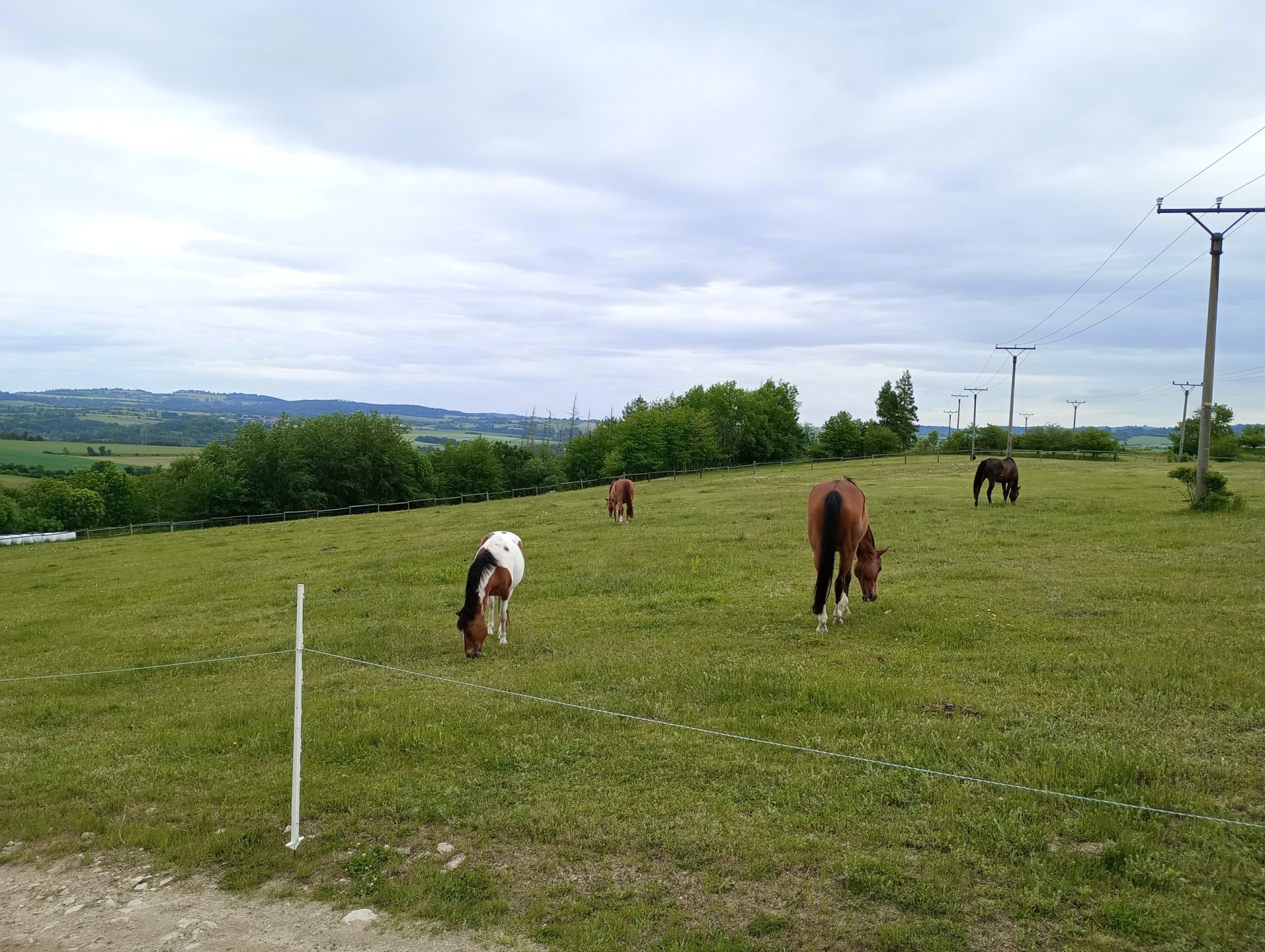 IMG-20250528-103906