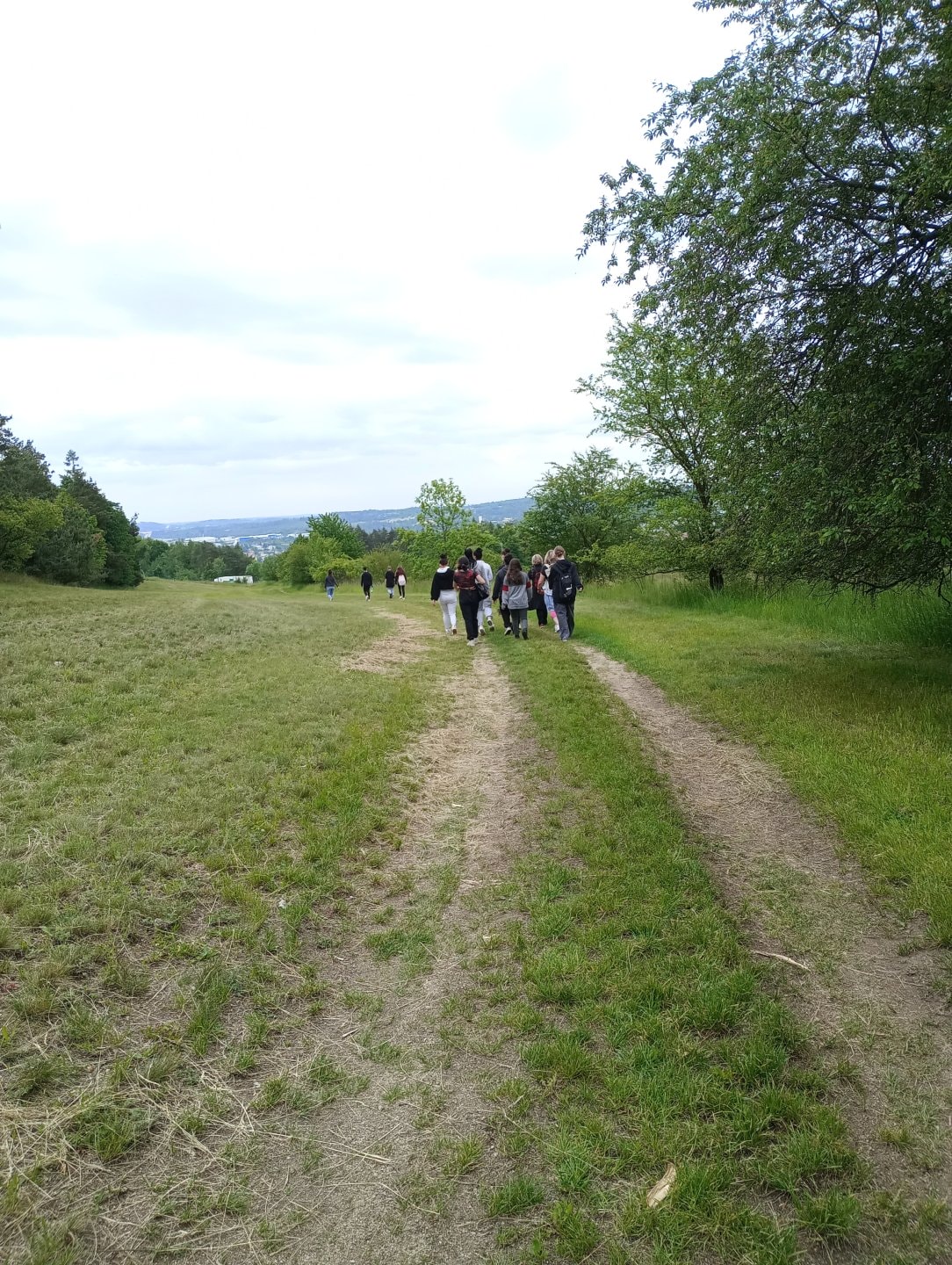 IMG-20250528-104519