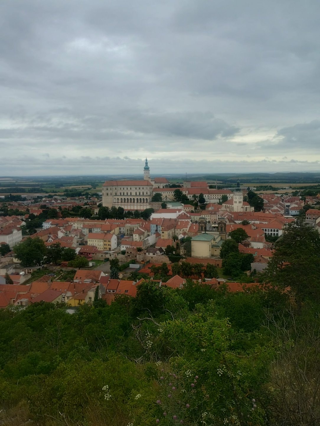 IMG-20250906-WA0071