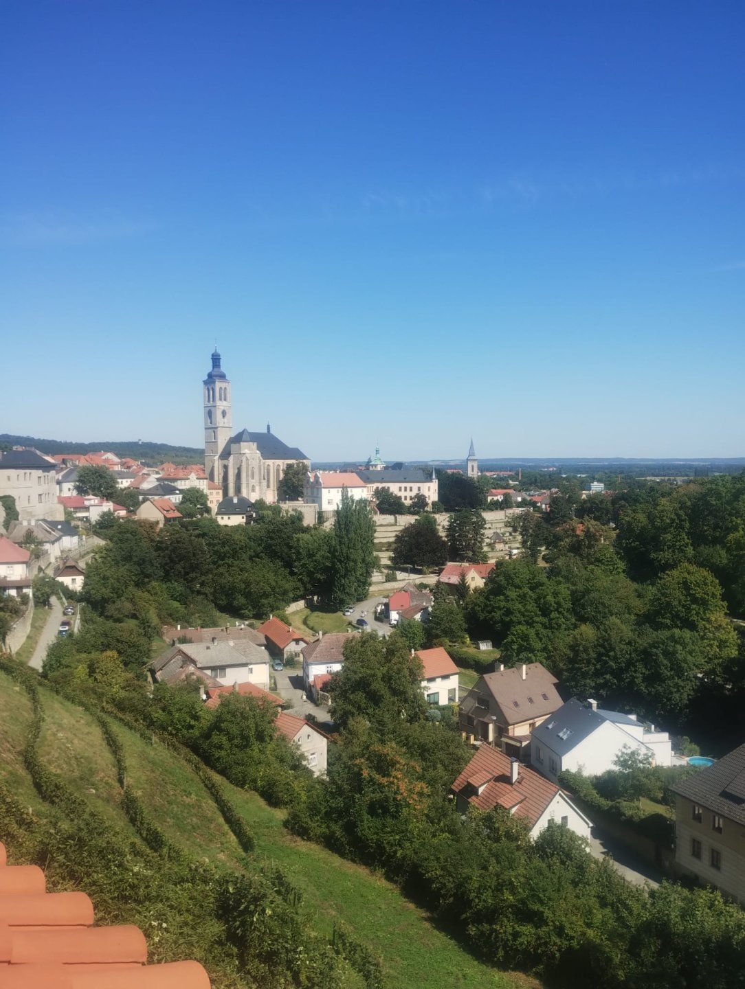 IMG-20250828-WA0018